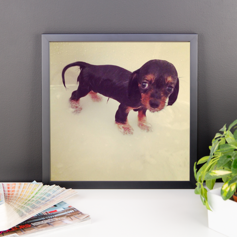 Puppy #2