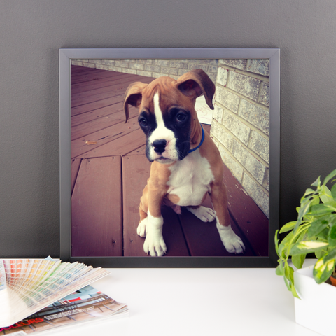 Puppy #4